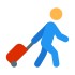 travel icon